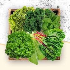 Leaf Vegetables